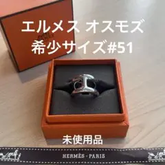 2025年最新】オスモズの人気アイテム - メルカリ