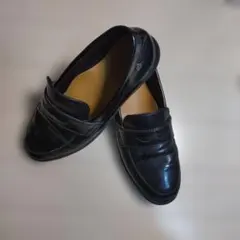 Item thumbnail for item 1069ffd4-14f6-47f6-9e88-e81869ff100f