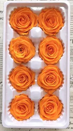 megu様 リクエスト 2点 まとめ商品