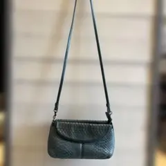 パイソンレザー ショルダーバッグ グリーン ヘビ革 - メルカリ