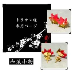 トリサン様＊専用ページ