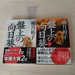 Item thumbnail for item 3f25dab6-df4e-4d6d-b53f-5f67f9690592