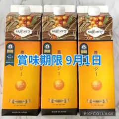 新品未開封】豊潤サジー 1000ml 9/1×3 - メルカリ
