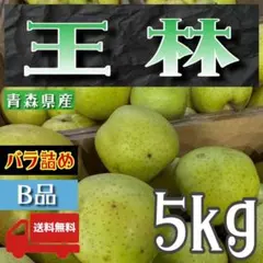 青森県産 ＂ 王林 ＂ りんご 家庭用 5kg 産地直送 リンゴ 林檎のサムネイル