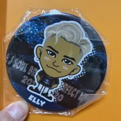 ELLY 缶バッジ PERFECT LIVE 2010→2020
