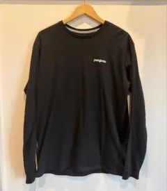 Patagonia Long-Sleeved Fitz Roy Teeのサムネイル