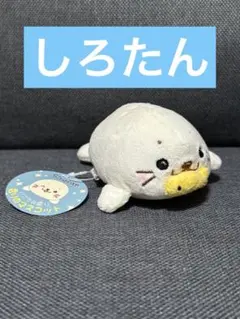しろたん キャラクターグッズ