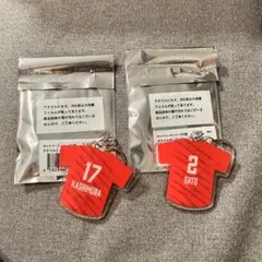 サントリーサンバーズ バレーボール