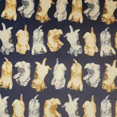 Item thumbnail for item 32ac1dcd-b98d-4ad2-81db-5efb2af68f92