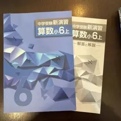 中学受験新演習 算数小6上