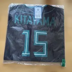 新品未開封】北海道日本ハム 伊藤大海 エスコンフィールド26レプリカ