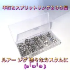 Item thumbnail for item e200f954-5123-44f1-85d1-b1eca05f9160