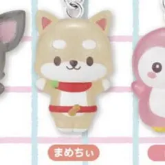 JOCHAM ジェオチャム まめちぃ めじるし