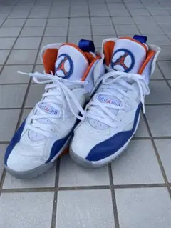 NIKE JORDAN TRUE FLIGHT ホワイト ブルー スニーカー