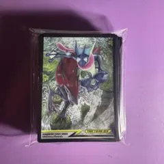 ポケモンカード ゲッコウガ&ゾロアーク キャラクタースリーブのサムネイル
