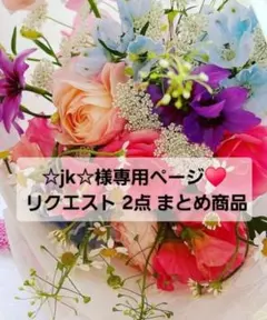 ☆jk☆様 リクエスト 2点 まとめ商品