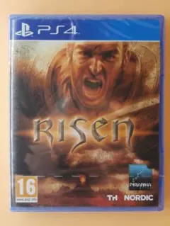 欧州版PS4神ゲーソフト【RIZEN リゼン】