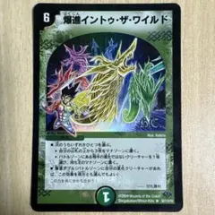 デュエルマスターズ 爆進イントゥ・ザ・ワイルド