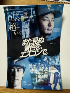ファイターズ　まだ見ぬ景色をエスコンで。ステッカー#43水野達稀×#15北山亘基