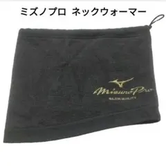 Item thumbnail for item 7f02c17e-2587-4e72-8a67-47d51b83be47