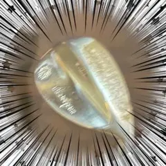 Item thumbnail for item 40ea542d-f070-4323-846c-0ca067ac7b75