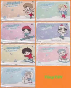 TinyTAN マルチシート BTS