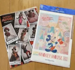 東京ディズニーリゾート　ミッキー ミニー クリアファイル2点セット