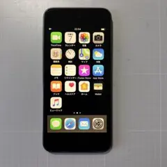 Apple iPod touch (第6世代) 32GB スペースグレー