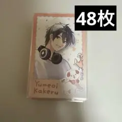 にじさんじ　夢追翔　わんにゃんdaysチェキ　Nのみ