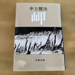 岬