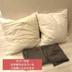 IKEAクッションインナーヌードクッション2個セット50×50のサムネイル