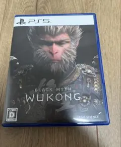 PS5 黒神話　悟空