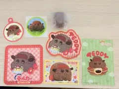 PUI PUI モルカー テディ　７点セット