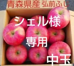 シェル様専用りんご 早生ふじ(ひろさきふじ) 家庭用 中玉 10g