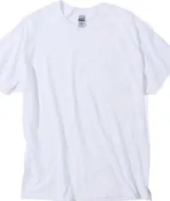 ホワイト Tシャツ Lサイズ