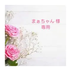 抗菌防臭メッシュ　一枚仕立て　不織布マスクが見えるカバー　ケミカルレース