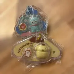 サンリオパッケージチャーム 新品2個セット