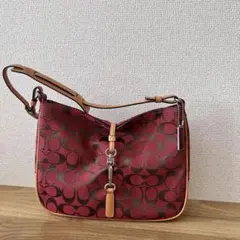 coach signature hobo One Shoulder bag