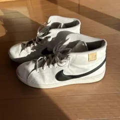 Item thumbnail for item 43128186-5af2-462f-914c-d6d47ec96499