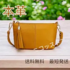 Item thumbnail for item 65ae2a2f-b305-417d-8f4b-47c3b9ea5afc