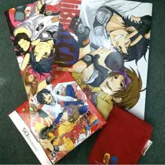 DGS響ゲーム 限定版