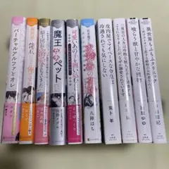 bl小説纏め売り 大判サイズセット - メルカリ