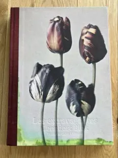 洋書 ボタニカルアート 60年代 アンティーク ビンテージ 植物図鑑 花イラスト 洋書 ボタニカルアート 60年代 アンティーク ビンテージ 植物図鑑 花