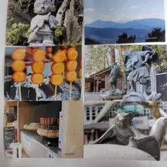 日本の風景と焼き団子の写真　高尾山