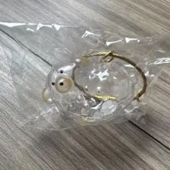 うちの子のけだまだま　トイプードル