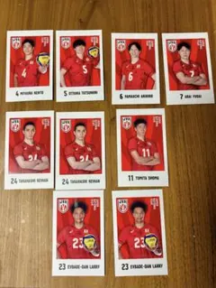 バレーボール男子　日本代表カード　おまとめセット