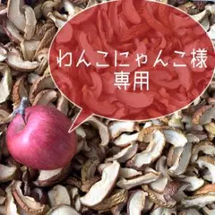 わんこにゃんこ様専用ページ②✩︎⡱