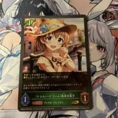 SHADOWVERSE EVOLVEトレーディングカード全てセット