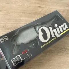 Item thumbnail for item 0b502f8d-4c53-4c0e-9bcd-99365fdc9d31