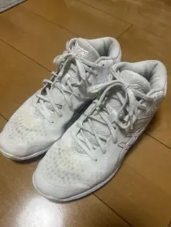 ASICS ゲルフェアリー LADY GELFAIRY 8